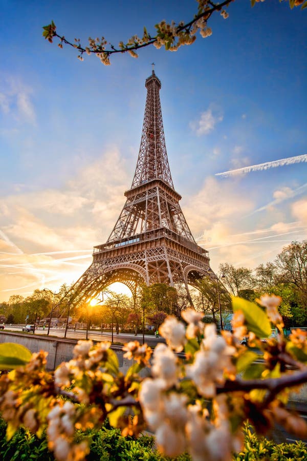 Eiffel Tower with Spring Tree in Paris, France Stock Photo - Image of