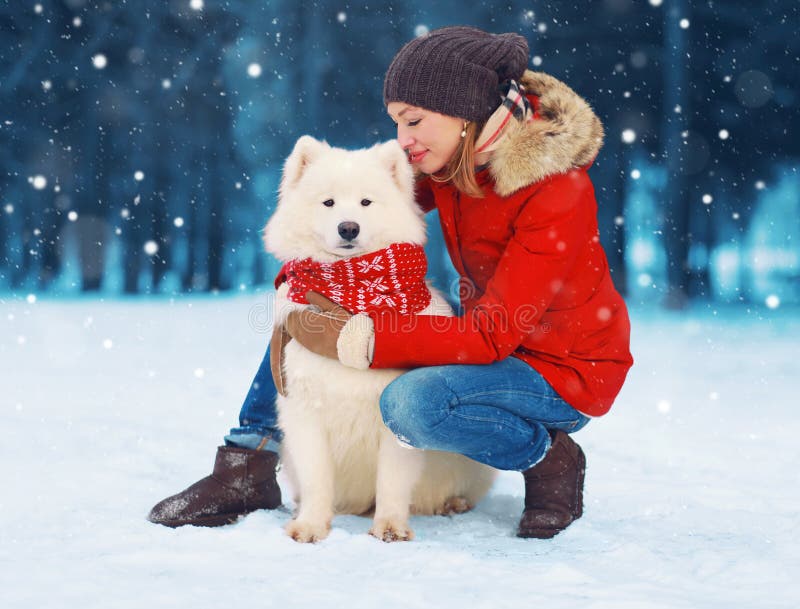 Christmas happy young woman owner petting embracing white Samoyed dog on snow in winter day over snowflakes. Christmas happy young woman owner petting embracing white Samoyed dog on snow in winter day over snowflakes