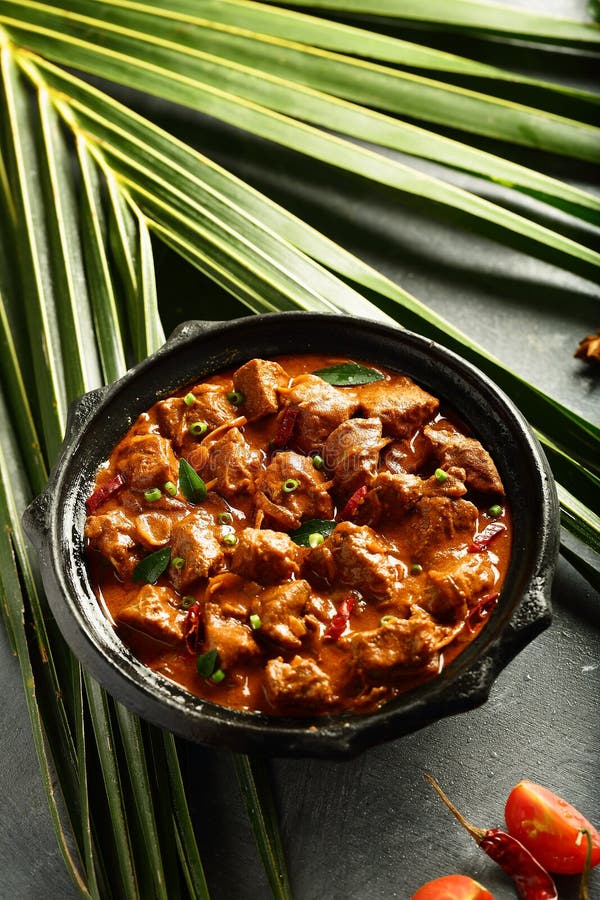 Zelfgemaakte Indiase lamscurry met schapenvlees royalty-vrije stock fotografie