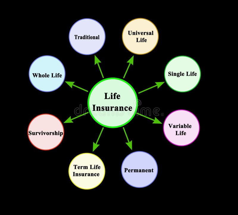 Insurance Account