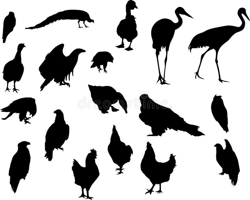 Eighteen bird silhouettes stock illustration