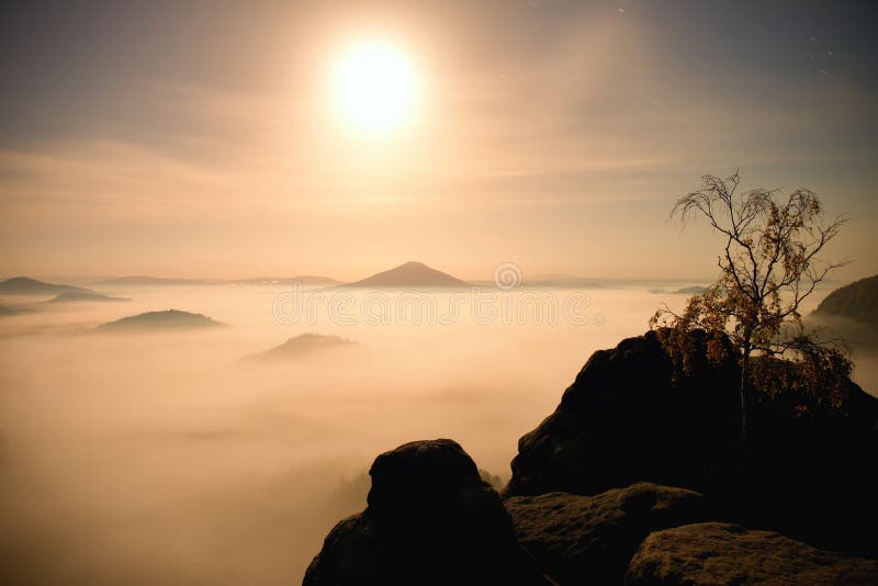 Eiland met boom in nevelige oceaan Volle maannacht in mooie berg Zandsteenpieken van zware romige mist worden verhoogd die royalty-vrije stock foto Eiland met boom in nevelige oceaan Volle maannacht in mooie berg Zandsteenpieken van zware romige mist worden verhoogd die royalty-vrije stock foto