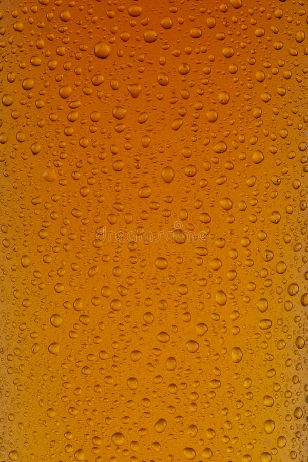 Ein Abschluss oben eines Glases des Inders Pale Ale stockbild Ein Abschluss oben eines Glases des Inders Pale Ale stockbild
