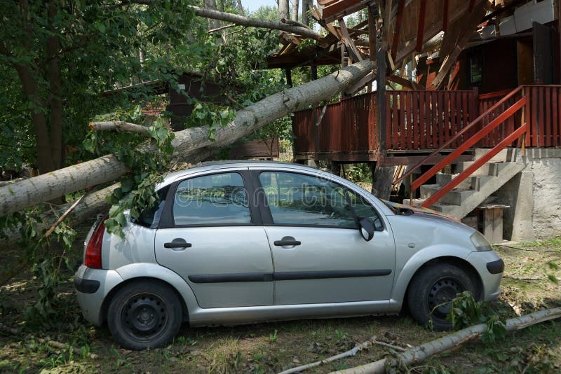 Ein Auto beschädigt durch Hurrikan mit gefallenem Baum auf dem Haus und dem Auto