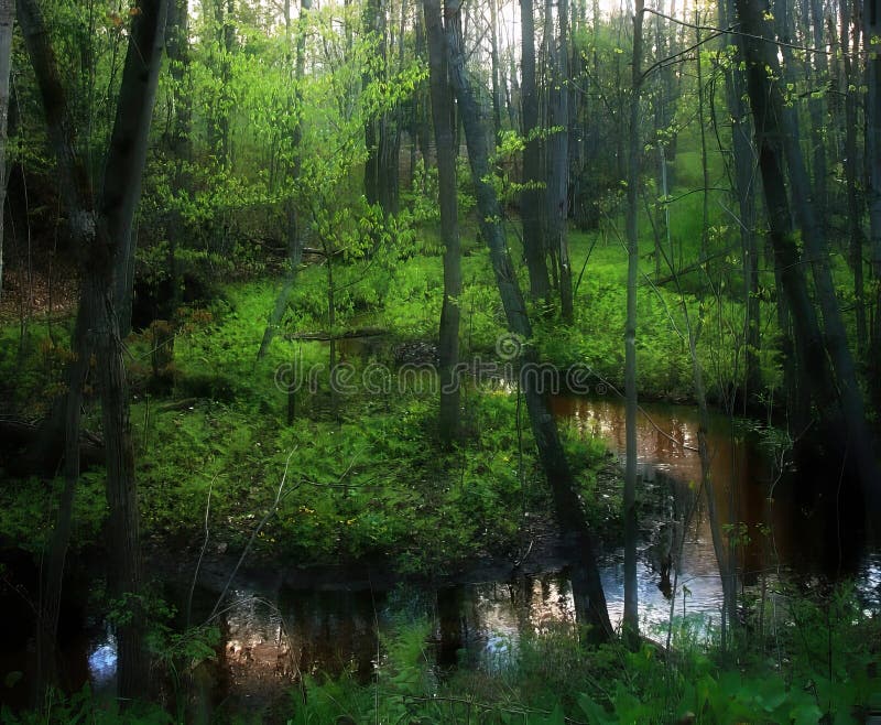 Ein Bach windet sich durch einen üppig grünen Wald. vektor abbildung