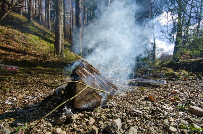 Ein dichter weißer Rauch von einem Lagerfeuer in einem Frühlingswald lizenzfreies stockfoto Ein dichter weißer Rauch von einem Lagerfeuer in einem Frühlingswald lizenzfreies stockfoto