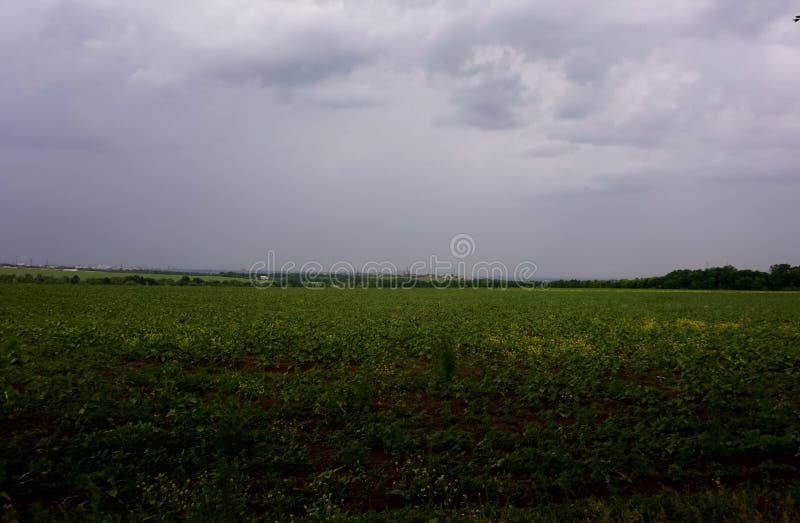 Ein düsterer bewölkter Himmel über einem grünen Feld lizenzfreie stockfotos Ein düsterer bewölkter Himmel über einem grünen Feld lizenzfreie stockfotos