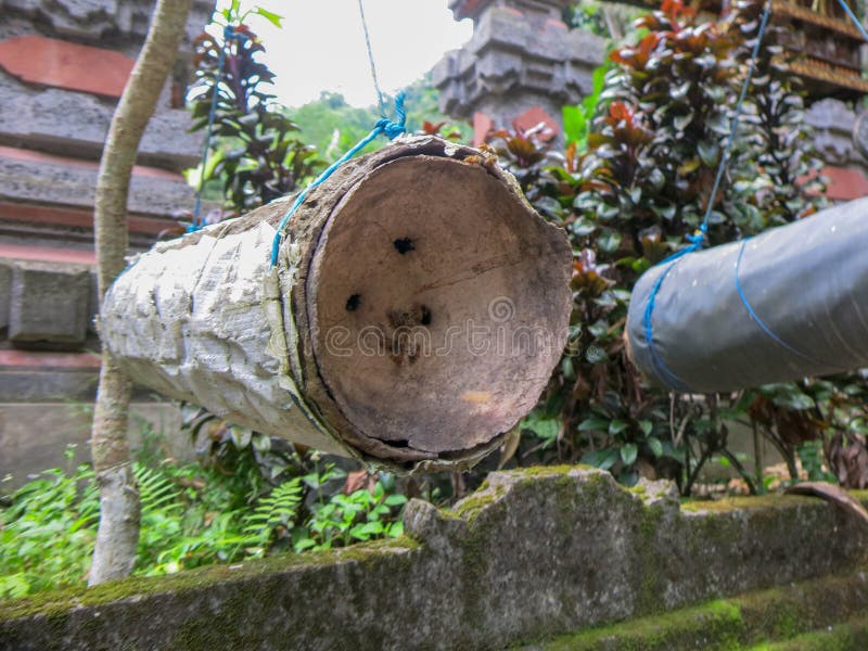 Ein einfacher Bienenbienenstock gemacht vom Bambusstamm Hängen mit Seil auf Baum Backsteinmauer bedeckt mit tropischem Moos und F stockfoto Ein einfacher Bienenbienenstock gemacht vom Bambusstamm Hängen mit Seil auf Baum Backsteinmauer bedeckt mit tropischem Moos und F stockfoto