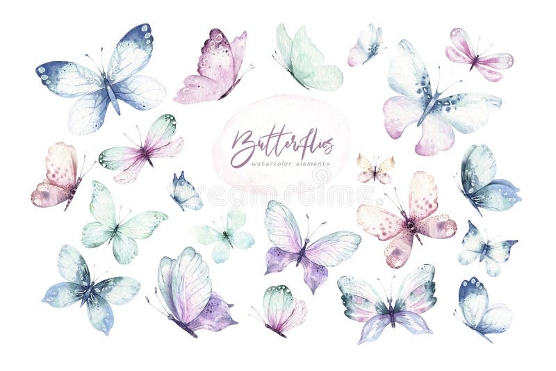 Ein Einzelfall Schmetterling des Aquarells Sammelsurium Schmetterlinge auf weißem Hintergrund. Blaues gelbes rosa und roten Schmet lizenzfreie abbildung