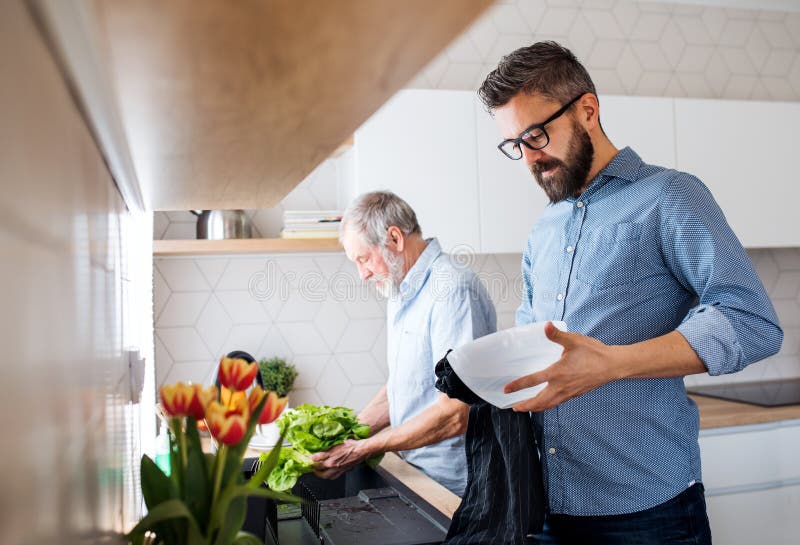 Ein erwachsener Hippie-Sohn und ein ?lterer Vater zuhause zu Hause, Gem?se waschend stockbild Ein erwachsener Hippie-Sohn und ein ?lterer Vater zuhause zu Hause, Gem?se waschend stockbild