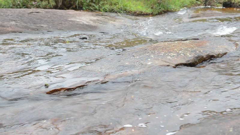 Ein Fluss in den Bergen mit einem kleinen Wasserfall im Wald