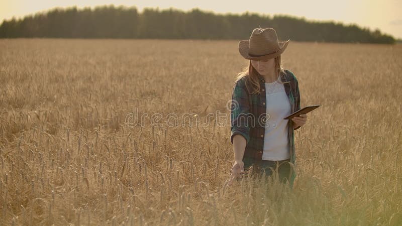 Ein Frauenlandwirt mit Tablette Smart-Landwirtschaft und digitale Landwirtschaft