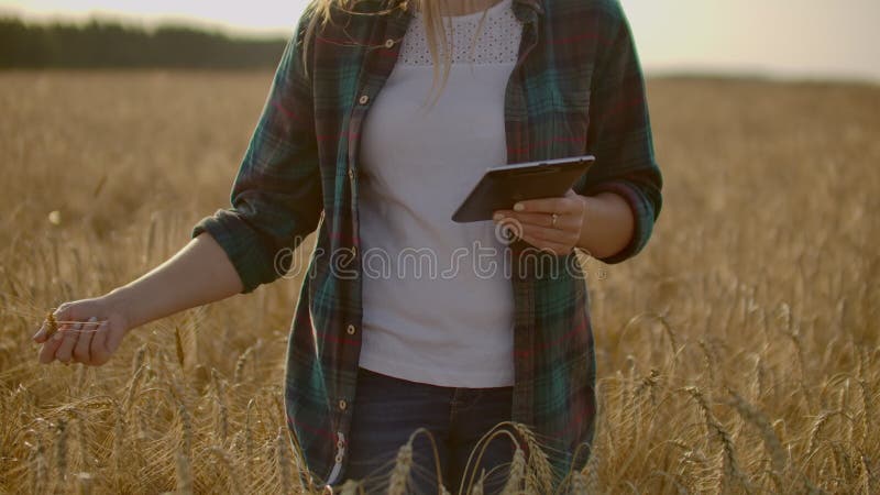 Ein Frauenlandwirt mit Tablette Smart-Landwirtschaft und digitale Landwirtschaft