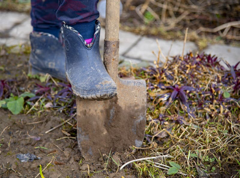 Einem Feld. Ein Und früh, aktiv: von Stockfoto Bild Auf - Einer in in Fuß Dem Scoop Gummistiefel 176724778