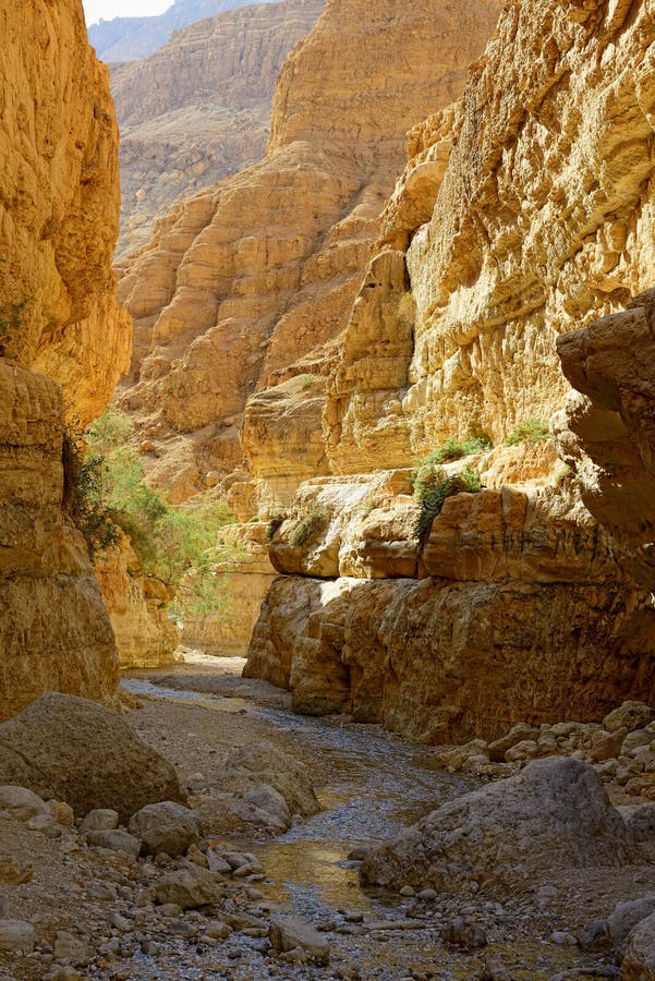 Wadi Arugot En La Reserva De Naturaleza De Ein Gedi, Israel Fotografía