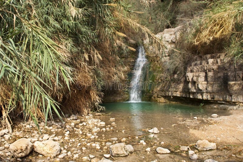 Ein Gedi creek, Dead sea, Israel