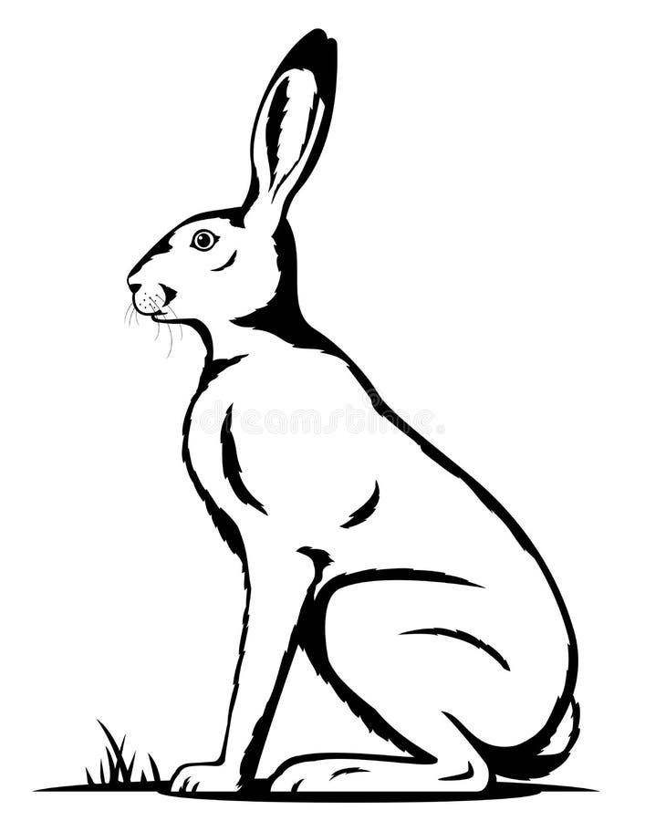 Ein Hase Schwarzweiss vektor 96562403 abbildung. sitzen von - Illustration
