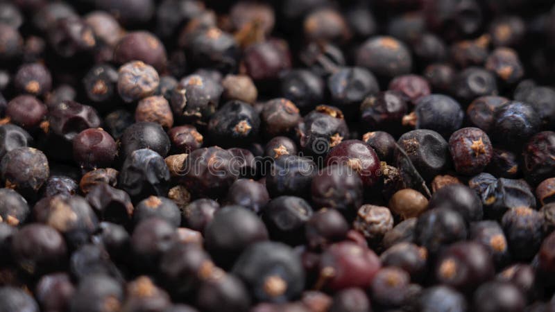 Ein Haufen getrockneter Wacholderbeeren schließen. natürliche Gewürze.