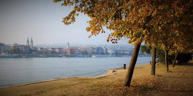 Ein Herbstbaum nahe der Donau lizenzfreies stockfoto Ein Herbstbaum nahe der Donau lizenzfreies stockfoto
