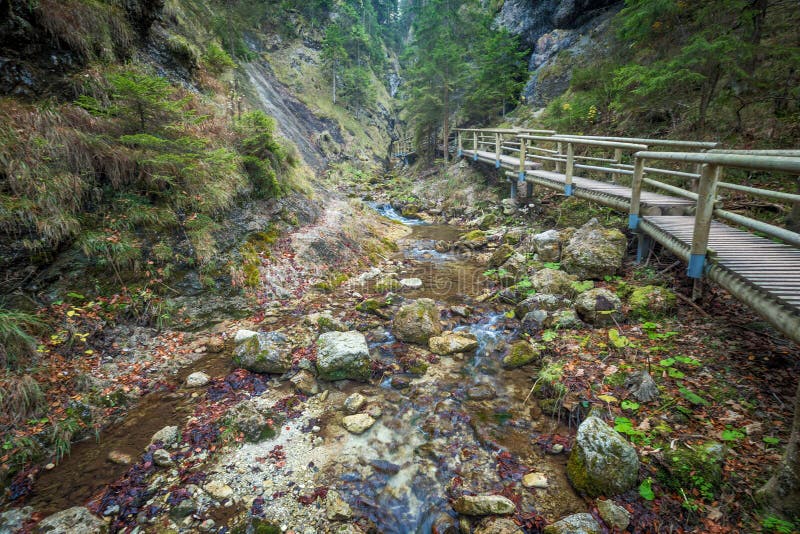 Ein hölzerner Steg über einem Strom in einem Wald stockbild Ein hölzerner Steg über einem Strom in einem Wald stockbild