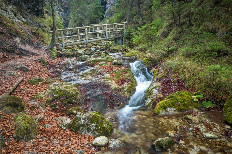 Ein hölzerner Steg über einem Strom in einem Wald lizenzfreies stockbild Ein hölzerner Steg über einem Strom in einem Wald lizenzfreies stockbild