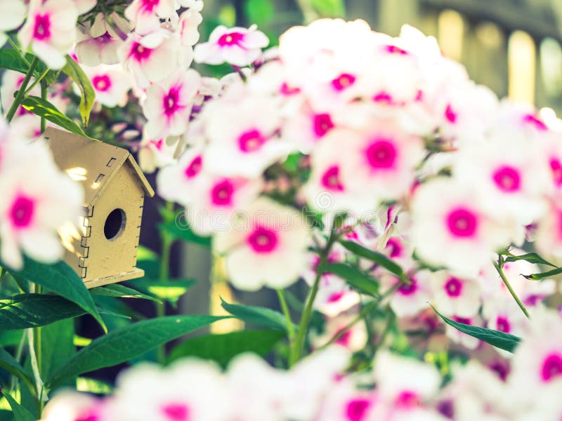 Ein hölzernes Spielzeugvogelhaus in den florierenden weißen rosa Flammenblumeblumen gegen den grünen Hintergrund stockbilder