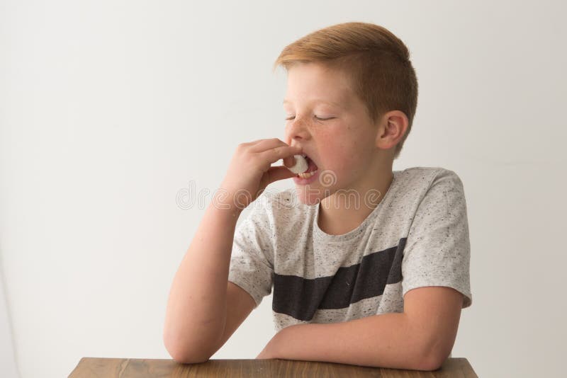 Ein junger blonder Junge sitzt über der Tabelle von einem einzelnen Eibisch lizenzfreie stockfotografie Ein junger blonder Junge sitzt über der Tabelle von einem einzelnen Eibisch lizenzfreie stockfotografie