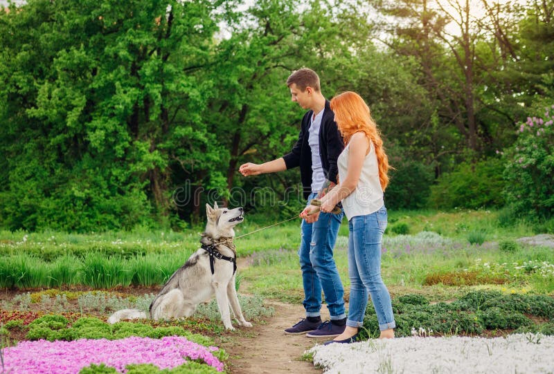 Ein junges gehendes Paar ein Hund im Park stockfotografie Ein junges gehendes Paar ein Hund im Park stockfotografie