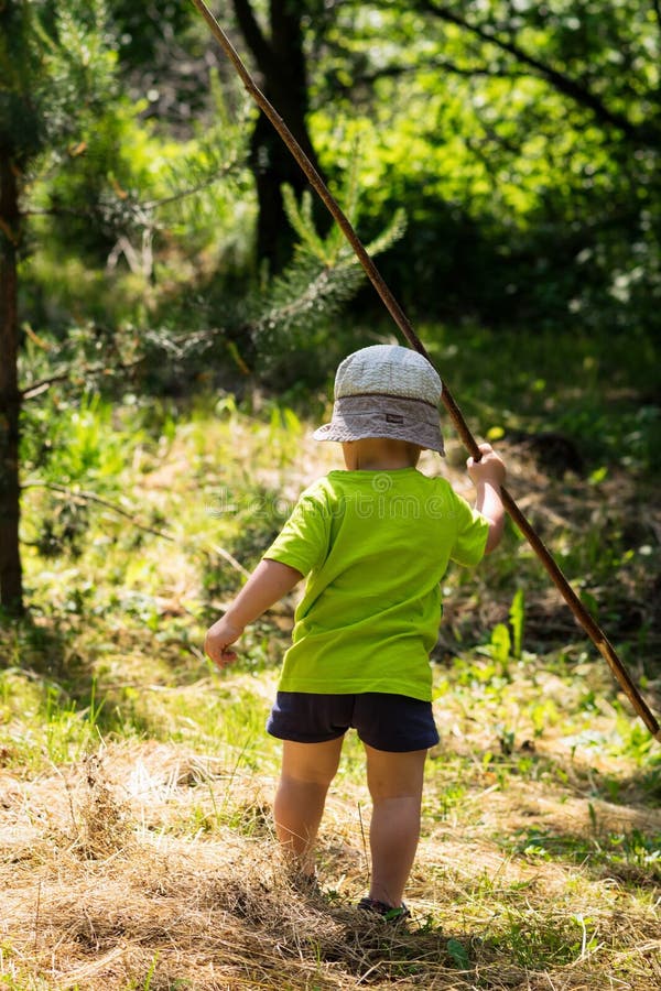 Ein kleiner Junge, der am Sommerwald wandert und geht stockbild Ein kleiner Junge, der am Sommerwald wandert und geht stockbild