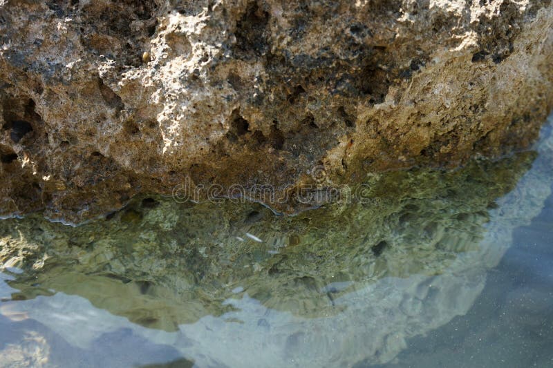 Ein Krabbe liegt auf einem Stein am Wasser des Mittelmeers auf Rhodes Island Greece lizenzfreie stockfotografie
