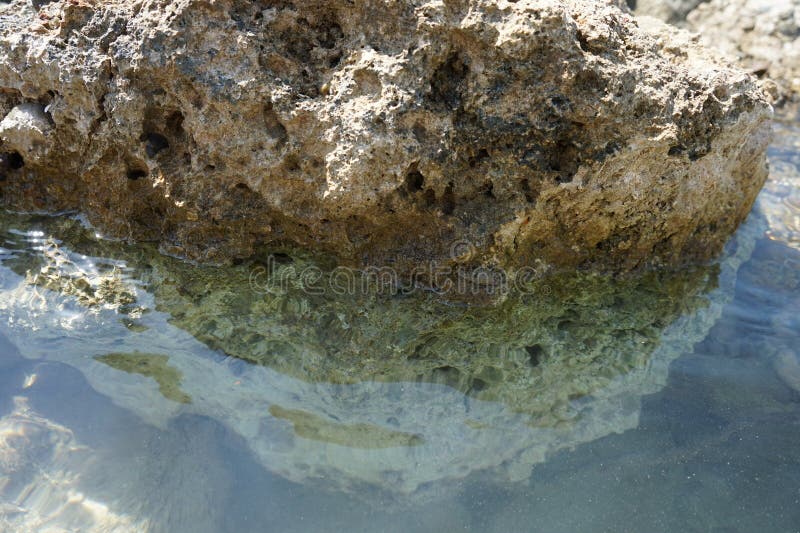 Ein Krabbe liegt auf einem Stein am Wasser des Mittelmeers auf Rhodes Island Greece lizenzfreie stockbilder