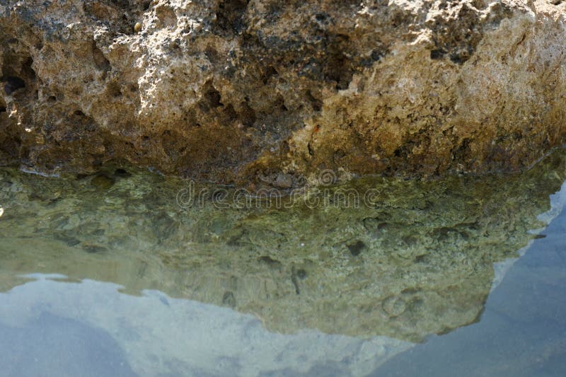 Ein Krabbe liegt auf einem Stein am Wasser des Mittelmeers auf Rhodes Island Greece stockbild