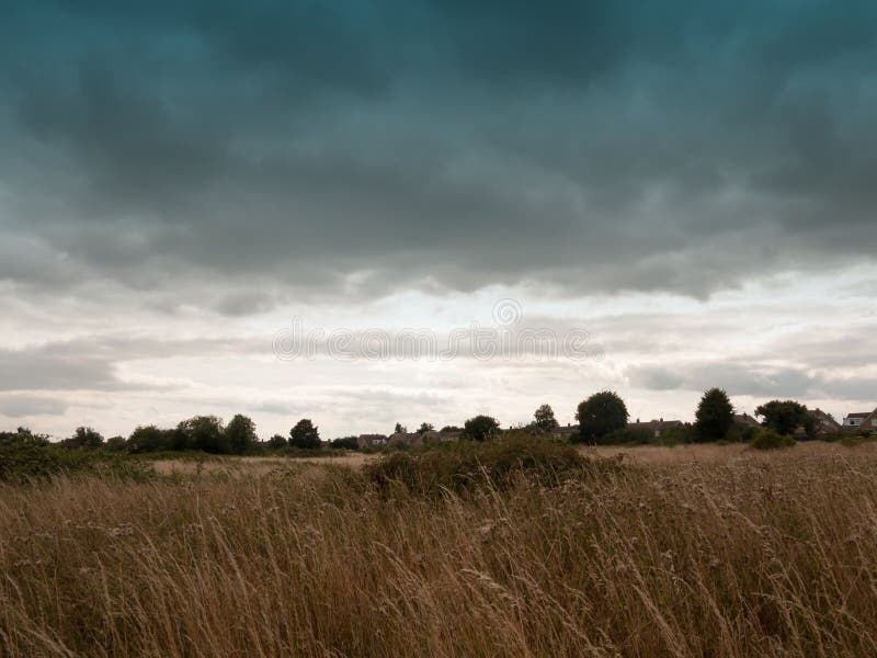 Download Ein Leeres Hinteres Feldlos Mit REEDgras Und -himmel Stockbild - Bild von cloudscape, gras: 96931013