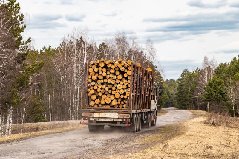 Ein LKW mit den Walddurchläufen auf der Autobahn, industrieller Transport der Kiefer lizenzfreies stockfoto Ein LKW mit den Walddurchläufen auf der Autobahn, industrieller Transport der Kiefer lizenzfreies stockfoto