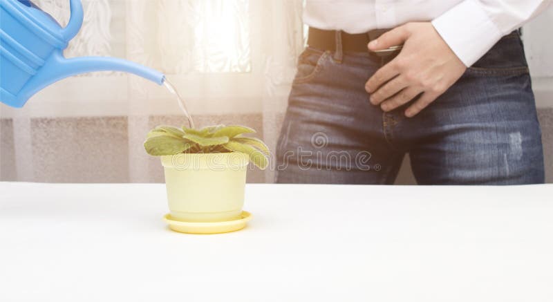 Ein Mann, der eine Blume von einem Gießkannekonzept der Harninkontinenz, der Prostatitis, der Pyelonephritis und des urologischen stockbilder Ein Mann, der eine Blume von einem Gießkannekonzept der Harninkontinenz, der Prostatitis, der Pyelonephritis und des urologischen stockbilder