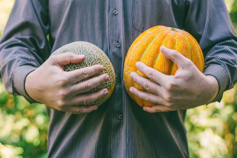 Ein Mann, der reife Melonen hält lizenzfreie stockfotos Ein Mann, der reife Melonen hält lizenzfreie stockfotos