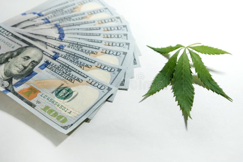 Ein Marihuanablatt liegt nahe bei hundert Dollarscheinen auf einem weißen Hintergrund Geld und Hanf Das Konzept der Legalisierung lizenzfreies stockbild Ein Marihuanablatt liegt nahe bei hundert Dollarscheinen auf einem weißen Hintergrund Geld und Hanf Das Konzept der Legalisierung lizenzfreies stockbild