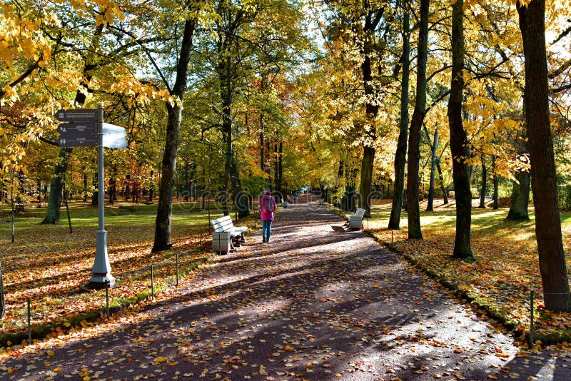 Ein Mädchen ging entlang einen Weg im forestï ¼ Œ lizenzfreie stockfotos Ein Mädchen ging entlang einen Weg im forestï ¼ Œ lizenzfreie stockfotos