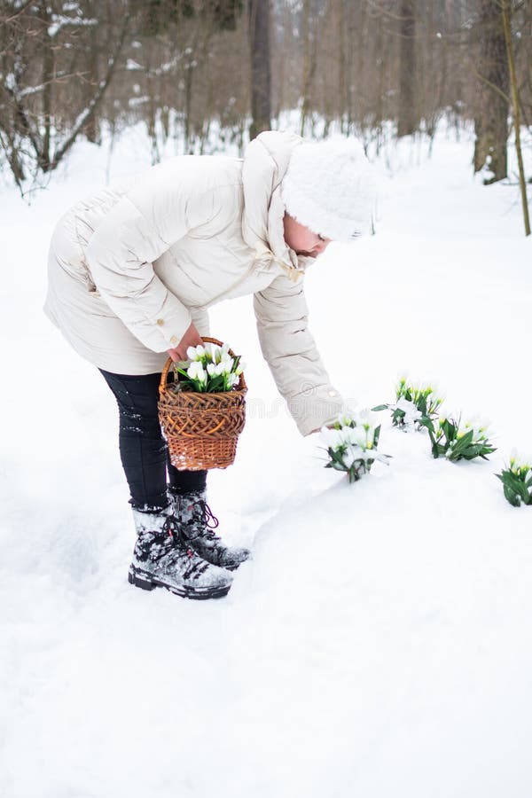 Ein Mädchen in schönen weißen Winterkleidung mit Schneefällen in einem schneebedeckten Winterwald. stockbild