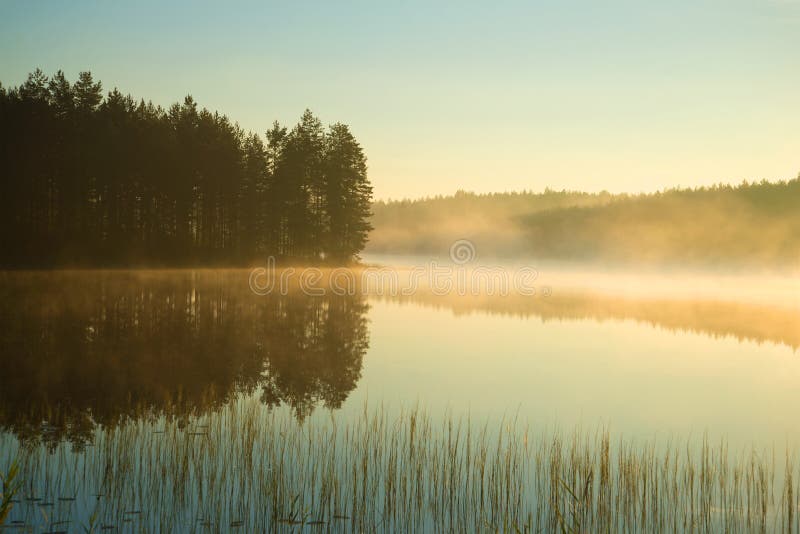 Ein nebeliger August-Morgen auf einem Waldsee Süd-Finnland lizenzfreies stockbild Ein nebeliger August-Morgen auf einem Waldsee Süd-Finnland lizenzfreies stockbild
