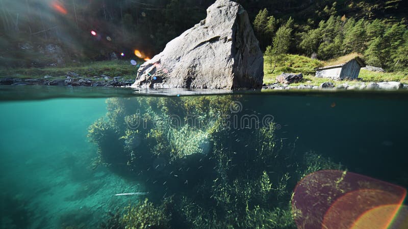 Ein Ober unter dem Schuss des Fjords