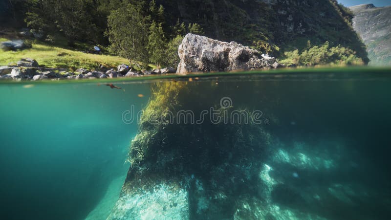 Ein Ober unter dem Schuss des Fjords