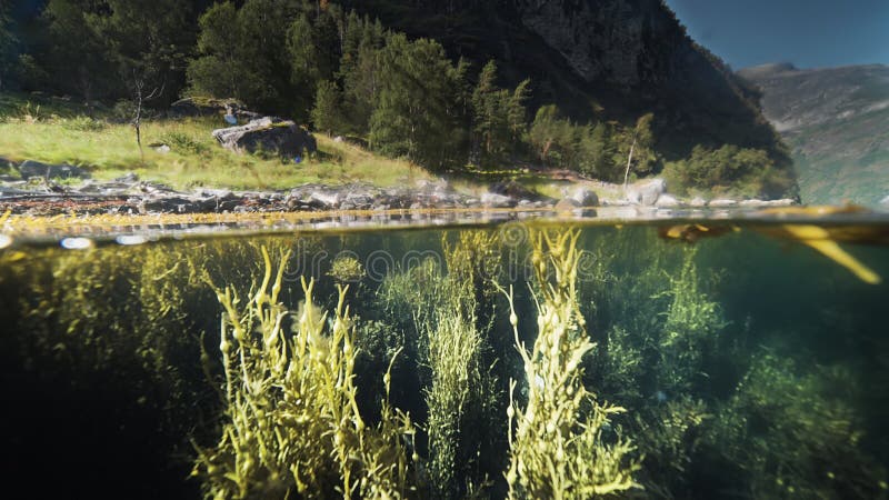 Ein Ober unter dem Schuss des Fjords