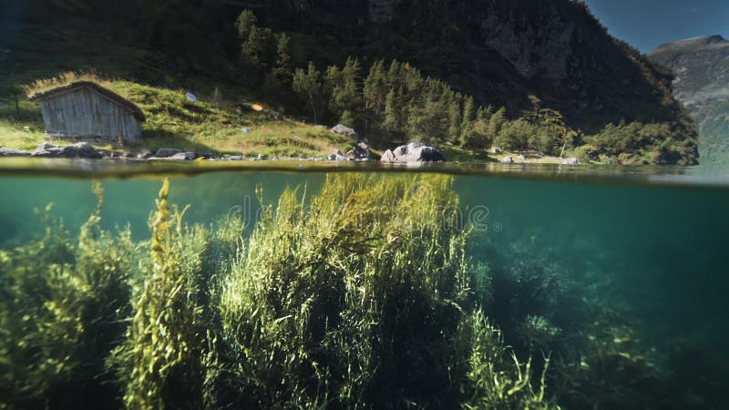 Ein Ober unter dem Schuss des Fjords