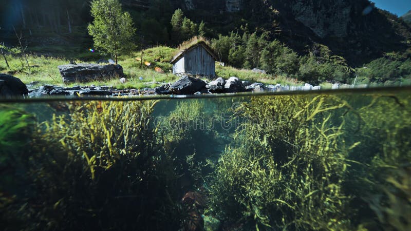 Ein Ober unter dem Schuss des Fjords