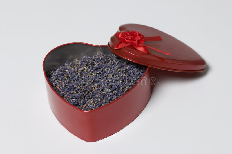 Ein offener roter Kasten in Form eines Herzens mit getrocknetem Lavendel blüht Es steht auf einem weißen Hintergrund stockfotos Ein offener roter Kasten in Form eines Herzens mit getrocknetem Lavendel blüht Es steht auf einem weißen Hintergrund stockfotos