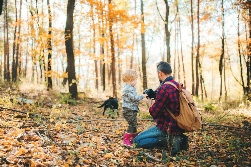 Ein reifer Vater und ein Kleinkindsohn in einem Herbstwald, Fotos mit einer Kamera machend lizenzfreies stockfoto Ein reifer Vater und ein Kleinkindsohn in einem Herbstwald, Fotos mit einer Kamera machend lizenzfreies stockfoto