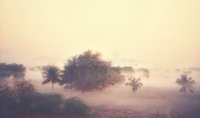 Ein ruhiger nebeliger Wintermorgen stockbild Ein ruhiger nebeliger Wintermorgen stockbild