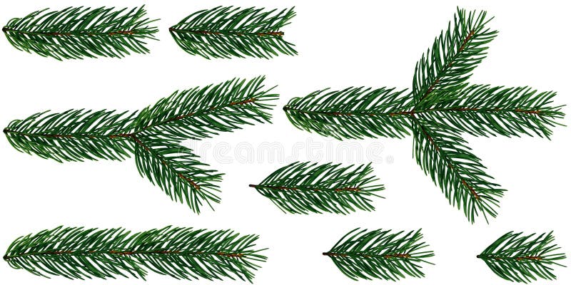 Ein Satz von 8 Elementen des Tannen-Baumast-Weihnachtsbaums wird auf einem weißen lokalisiert und transparenter Hintergrund addie stockfotografie