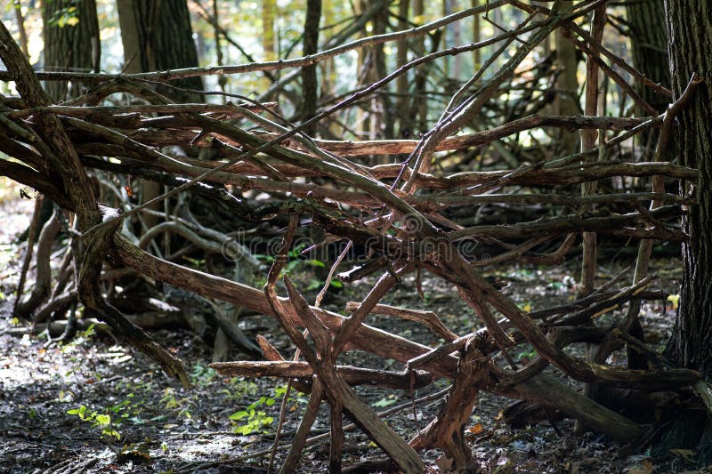 Ein Schutz gemacht von den hölzernen Niederlassungen im Wald lizenzfreie stockbilder Ein Schutz gemacht von den hölzernen Niederlassungen im Wald lizenzfreie stockbilder